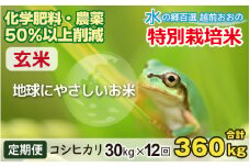 【令和6年産 新米】【12ヶ月定期便】こしひかり 30kg × 12回 計 360kg【玄米】
