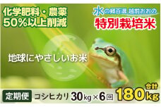 【令和6年産 新米】【6ヶ月定期便】こしひかり 30kg × 6回 計 180kg【白米】