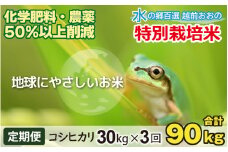 【令和6年産 新米】【3ヶ月定期便】こしひかり 30kg × 3回 計 90kg【白米】