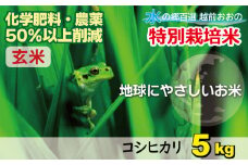【令和6年産】こしひかり 5kg【玄米】減農薬・減化学肥料 「特別栽培米」