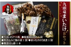九頭竜まいたけとうま煮・ごはんの素など加工品セット(Bセット)