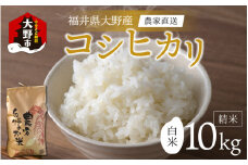 【先行予約】【令和7年産 新米】福井県大野市産  コシヒカリ 白米 精米 10kg 農家直送