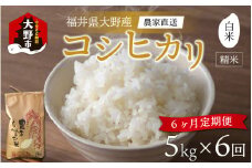 【先行予約】【令和6年産 新米】【6ヶ月定期便】福井県大野市産 コシヒカリ 白米 精米 5kg 農家直送