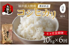 【先行予約】【令和6年産 新米】【6ヶ月定期便】福井県大野市産 コシヒカリ 白米 精米 10kg 農家直送