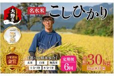 【令和6年産】【6ヶ月定期便】越前大野産 一等米 帰山農園の棚田育ちコシヒカリ  8分づき 5kg × 6回 計30kg 