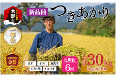 【令和5年産】【6ヶ月定期便】越前大野産 一等米 帰山農園の「つきあかり」5kg 【選べる精米方法】白米
