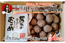 【12月出荷】越前大野の味自慢！上庄里芋とコシヒカリの詰合せ 計4kg（上庄里芋2kg コシヒカリ2kg×1袋）[A-001046]