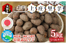 【先行予約】【年内発送】減農薬・減化学肥料の特別栽培里芋上庄里芋 土芋5kg 農家直送【10月～年内出荷】