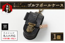 【4色から選べる】ボールが取出しやすい ゴルフボールケース 