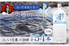 【9ヶ月連続お届け】奥越前の水 PET2L×6本 計54本