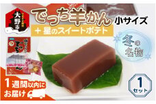 【先行予約】福井県大野市 冬の名物 でっち羊かん (お菓子のひろせ 水ようかん) 小サイズ (490g)×1箱 +星のスイートポテト【11月～順次発送】
