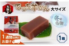 【先行予約】福井県大野市 冬の名物 でっち羊かん (お菓子のひろせ 水ようかん) 大サイズ(約980g)×1箱【11月～順次発送】
