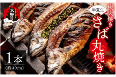 【先行予約】魚屋直送！大野名物 炭火焼き 半夏生さば（丸焼きさば）1本【2025年6月28日～7月10日お届け】
