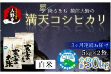 【令和6年産 新米】【3ヶ月定期便】星降るまち 越前大野の「満天コシヒカリ」白米 10kg (5kg×2袋) × 3回 計 30kg 小分け 農薬・化学肥料50%以上カットの特別栽培米 