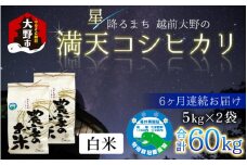 【令和6年産 新米】【6ヶ月定期便】星降るまち 越前大野の「満天コシヒカリ」白米 10kg（5kg×2袋） × 6回 計 60kg 小分け 農薬・化学肥料50%以上カットの特別栽培米 
