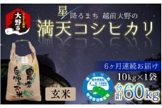 【令和6年産 新米】【6ヶ月定期便】星降るまち 越前大野の「満天コシヒカリ」玄米 10kg × 6回 計 60kg 農薬・化学肥料50%以上カットの特別栽培米 