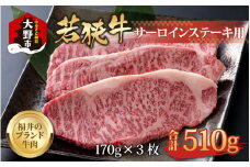 【福井のブランド牛肉】若狭牛 サーロインステーキ用   510g(170g×3枚)【4等級以上】