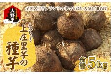 日本の美味い里芋を栽培！上庄里芋の種芋 5kg【2025年3月10日～出荷】