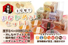 【アレルギー対応スイーツ】まなひめさまセットＢ(里芋ベースのゼリー風スイーツ&アレルギーアレルギー特定原材料8品目不使用のアイス)【グルテンフリー】