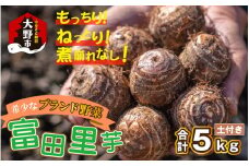 【先行予約】希少！とみた里芋 5kg ねっとりまろやか煮崩れなし！【11月～年内出荷】 