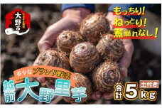 【先行予約】越前大野里芋 5kg ねっとりうまい煮崩れしない！【11月より順次発送】