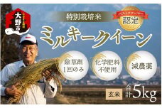 【先行予約】【令和6年産】【無農薬に限りなく近い】ミルキークイーン 玄米 ５kg 除草剤１回のみ・有機質肥料による特別栽培米 