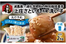【先行予約】上庄さといも 洗い子 2kg（500g × 4袋）【冷蔵】減農薬・減化学肥料の特別栽培里芋 農家直送 煮物に便利な小さめサイズ【10月中旬より順次発送】
