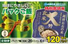 【6ヶ月定期便】地球にやさしいパックご飯 20食入り【玄米】× 6回　計120食　減農薬・減化学肥料 「特別栽培米」