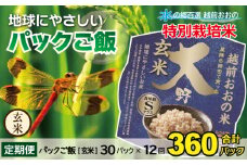 【12ヶ月定期便】地球にやさしいパックご飯 30食入り【玄米】× 12回　計360食　