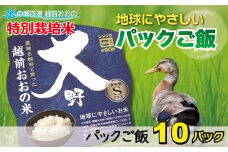 地球にやさしいパックご飯 10食入り【白米】