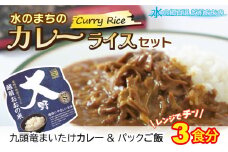 レンジでチン！水のまちのカレーライスセット【３食分】