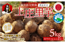 【先行予約】【10月発送】こだわりの特別栽培 上庄里芋5kg  化学肥料不使用・農薬50％以上カットの特別栽培里芋 農家直送