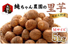 【先行予約】越前大野産 「純ちゃん農園の里芋 5kg」サイズM寸【10月下旬より順次発送】