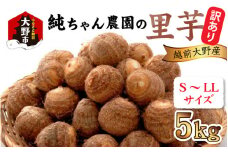 【先行予約】【訳あり】越前大野産 「純ちゃん農園の里芋5kg」サイズS～LL寸【10月下旬より順次発送】