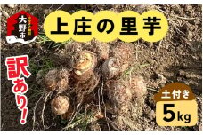 訳あり！上庄の里芋　5kg【土付】