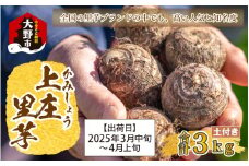 日本の美味い里芋！秋の味覚 上庄里芋 3kg【出荷：2025年3月～】