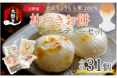 【先行予約】【年内配送】「杵つきお餅バラエティーセット」 大野産たんちょうもち米使用 【12月24日までの入金確認分は年内お届け】