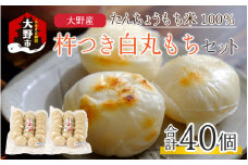 【先行予約】【年内配送】「杵つき白丸もちセット40個」(50g × 40個） 大野産たんちょうもち米使用【12月24日までの入金確認分は年内お届け】