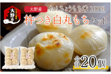 【先行予約】【年内配送】「杵つき白丸もちセット20個」(80g × 20個） 大野産たんちょうもち米使用 【12月24日までの入金確認分は年内お届け】