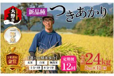【12ヵ月定期便】【令和5年産】越前大野産 一等米 帰山農園の「つきあかり」2kg 合計24kg【8分づき】