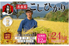 【12ヵ月定期便】【令和5年産】越前大野産 一等米 帰山農園の棚田育ちコシヒカリ 2kg 合計24kg【白米】