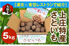 【先行予約】【満天☆青空レストランでご紹介】【年内出荷】上田農園 上庄特産さといも 5kg【10月下旬～順次発送】