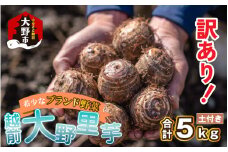 訳あり！越前大野里芋　5kg【土付】