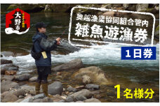 【2025年分】奥越漁業協同組合管内「雑魚遊漁券（1日券）」1名様分
