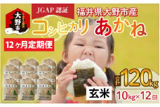 【先行予約】【令和6年産 新米】【12ヶ月定期便】福井県大野市産 JGAP認証 コシヒカリ「あかね」（玄米）10kg×12回　計120kg