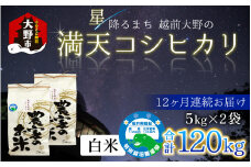 【令和6年産 新米】【12ヶ月定期便】星降るまち 越前大野の「満天コシヒカリ」白米 10kg (5kg×2袋) ×12回 計 120kg 小分け 農薬・化学肥料50%以上カットの特別栽培米 農家直送 単一原料米 大野市