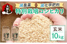 【先行予約】【令和7年産 新米】減農薬・減化学肥料の特別栽培コシヒカリ 玄米 10kg（5kg×2袋） 農家直送 福井県大野市産