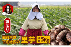【先行予約】【年内発送】【訳あり】越前大野下庄地区の里芋 5kg 無選別 M～LLサイズ