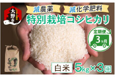 【令和6年産 新米】【3ヶ月定期便】減農薬・減化学肥料の特別栽培コシヒカリ 白米 5kg×3回 計15kg 農家直送 福井県大野市産