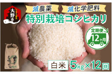 【先行予約】【令和6年産 新米】【12ヶ月定期便】減農薬・減化学肥料の特別栽培コシヒカリ 白米 5kg×12回 計60kg 農家直送 福井県大野市産